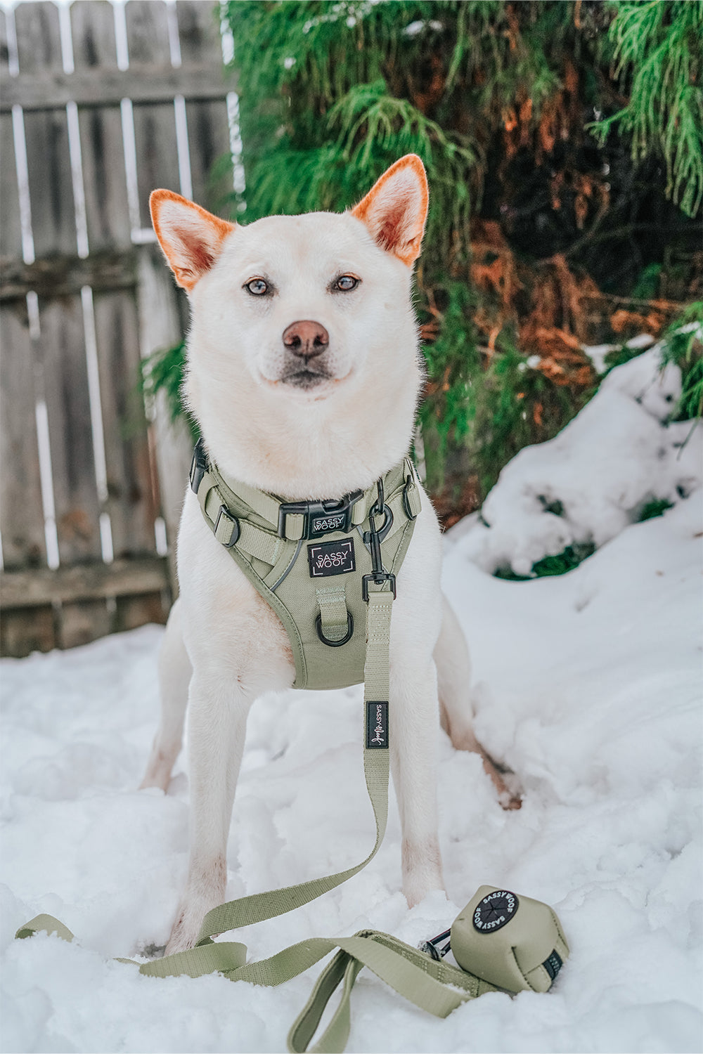 Dog Step-in Harness - Matcha