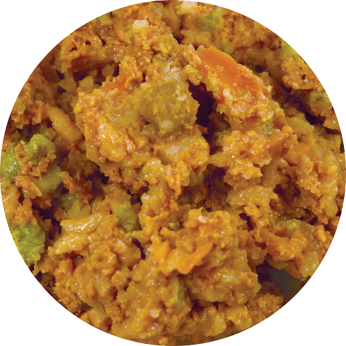 Evangers Complements Grain Free All Life Stages Vegetarian Dinner Wet Dog & Cat Can (12.5oz)