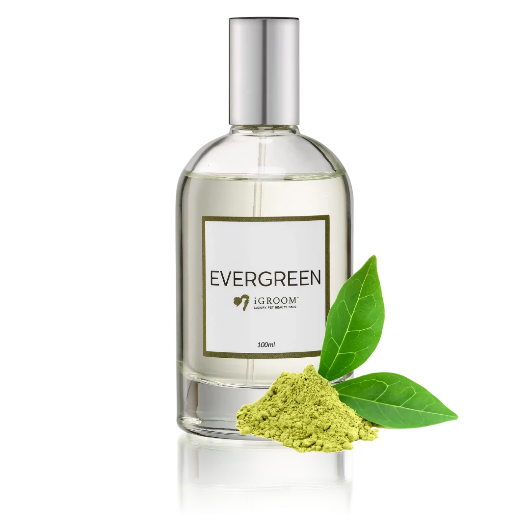 Evergreen Perfume 100ml by iGroom