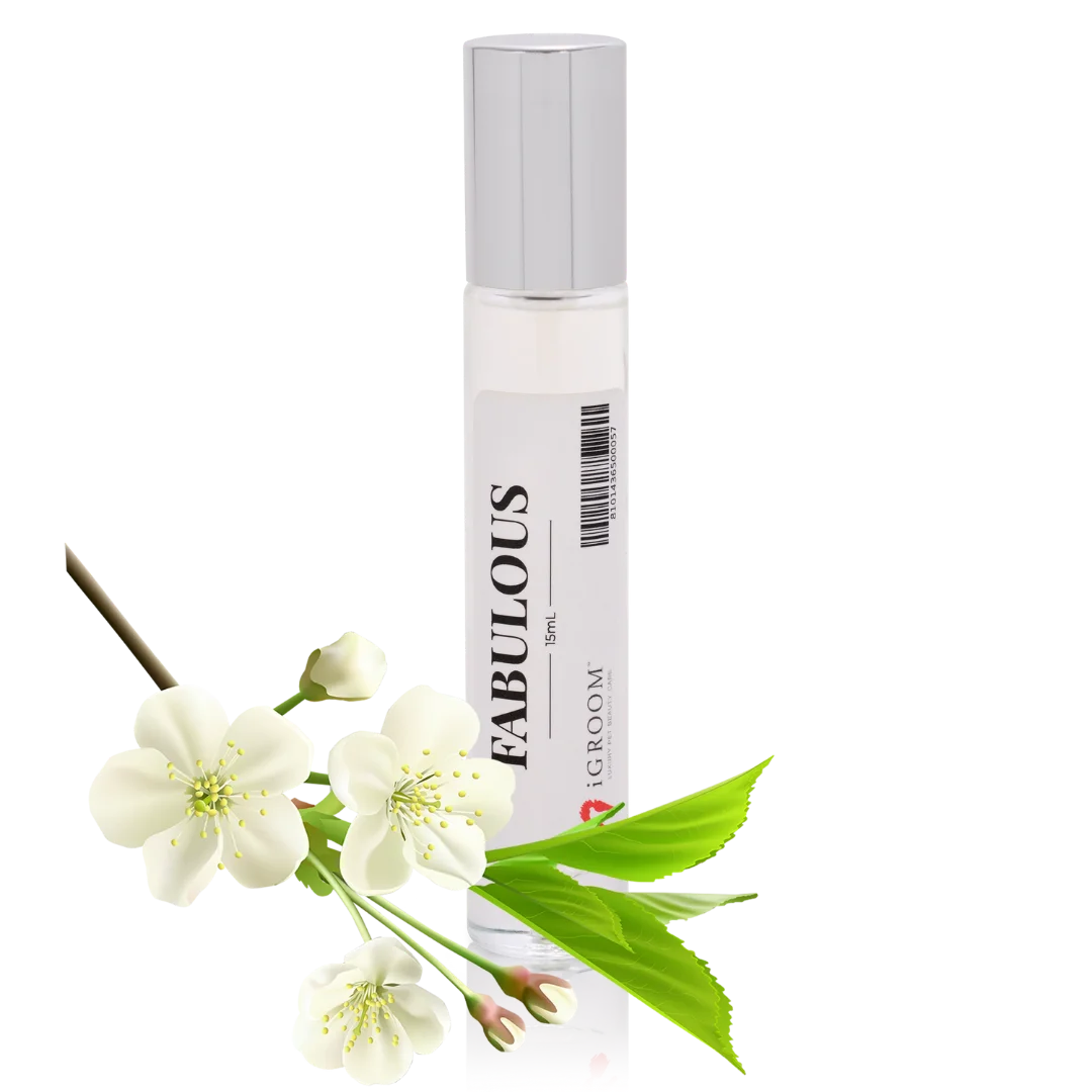 Fabulous Perfume 15ml by iGroom