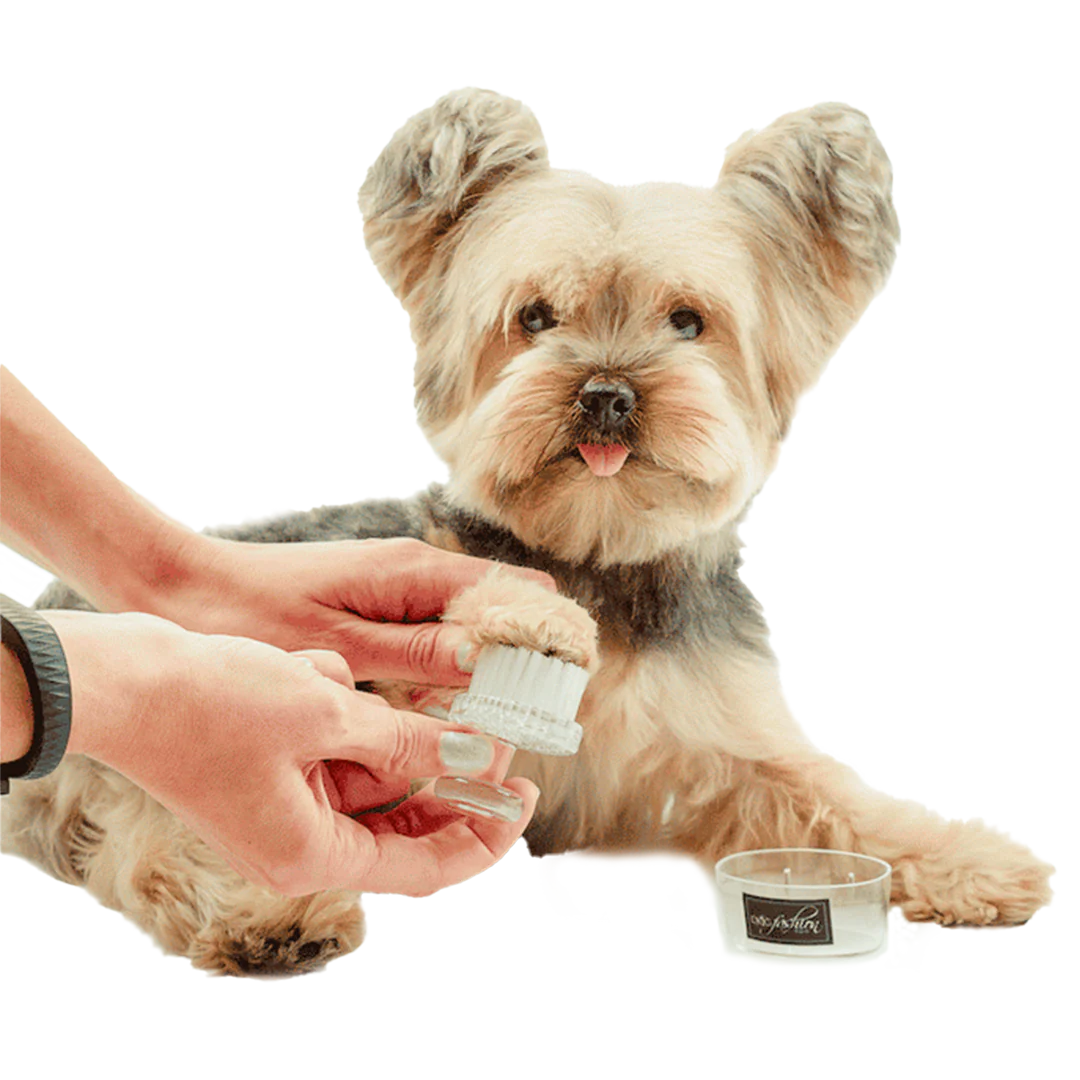 Black Face and Paw Brush by Dog Fashion Spa