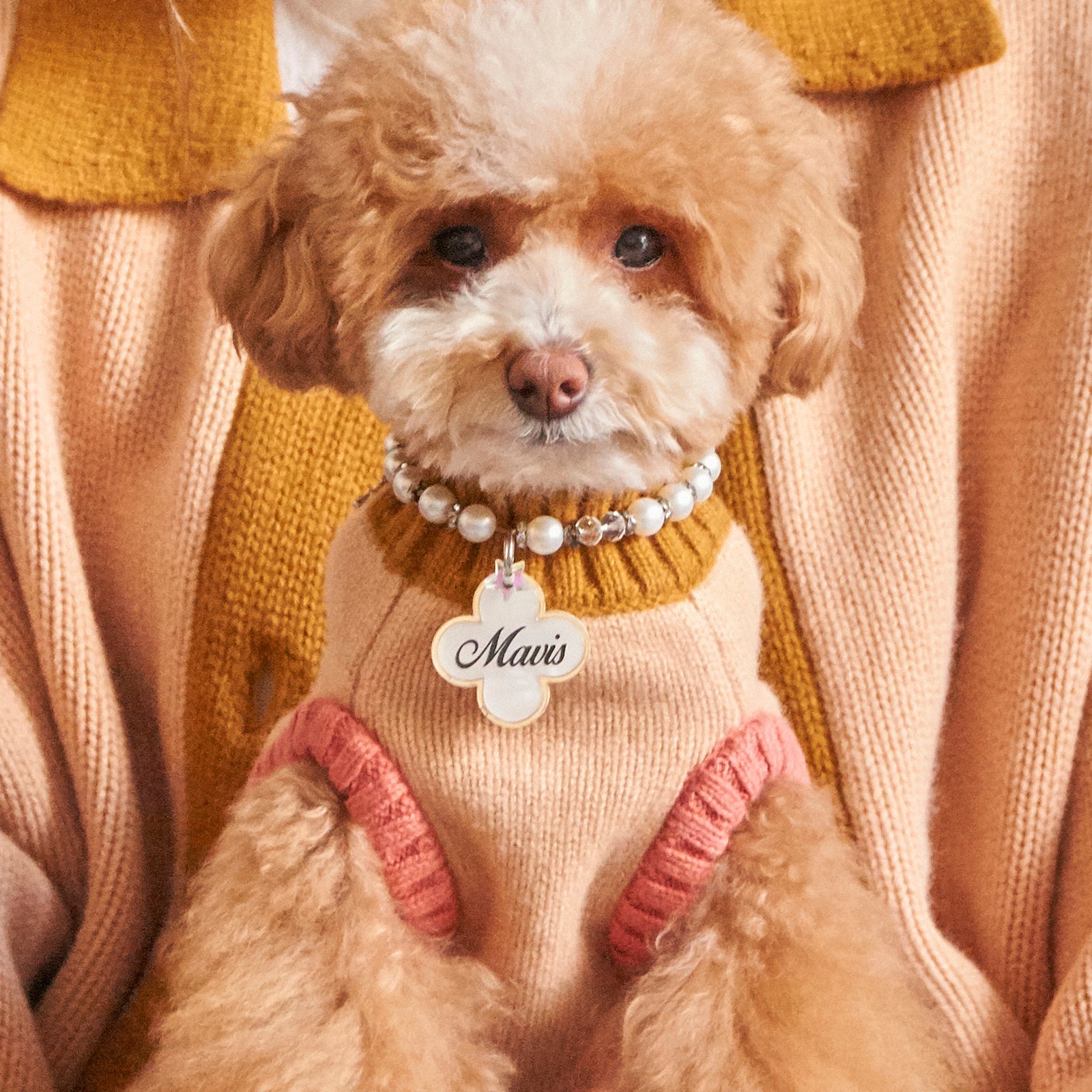Nooee Pet Fawn Sweater