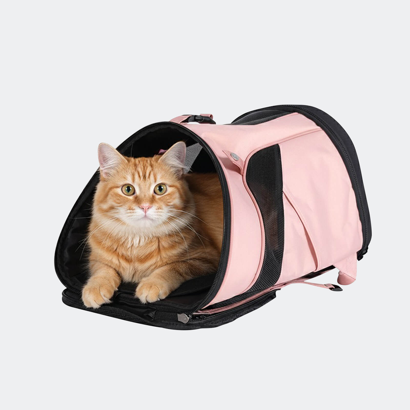 ibiyaya Ultralight Pro Pet Backpack Carrier, Front-Facing Cat-Dog Travel Bag