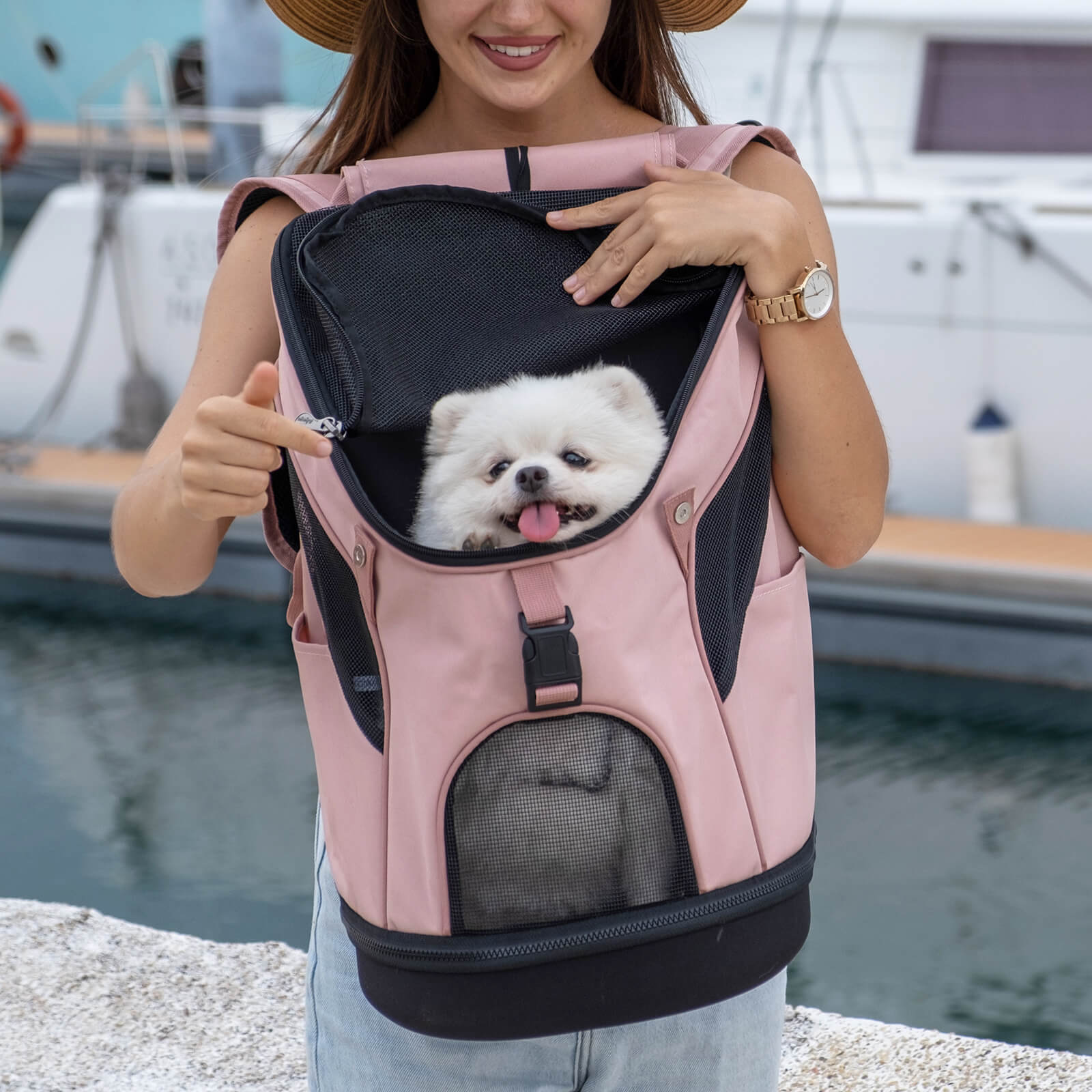 ibiyaya Ultralight Pro Pet Backpack Carrier, Front-Facing Cat-Dog Travel Bag
