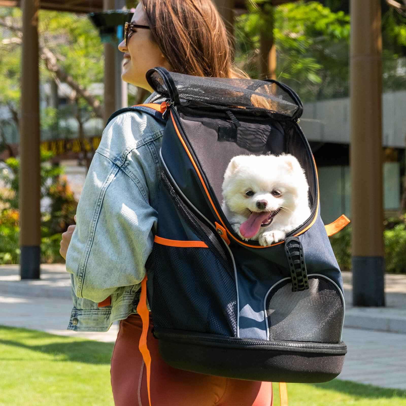 ibiyaya Ultralight Pro Pet Backpack Carrier, Front-Facing Cat-Dog Travel Bag