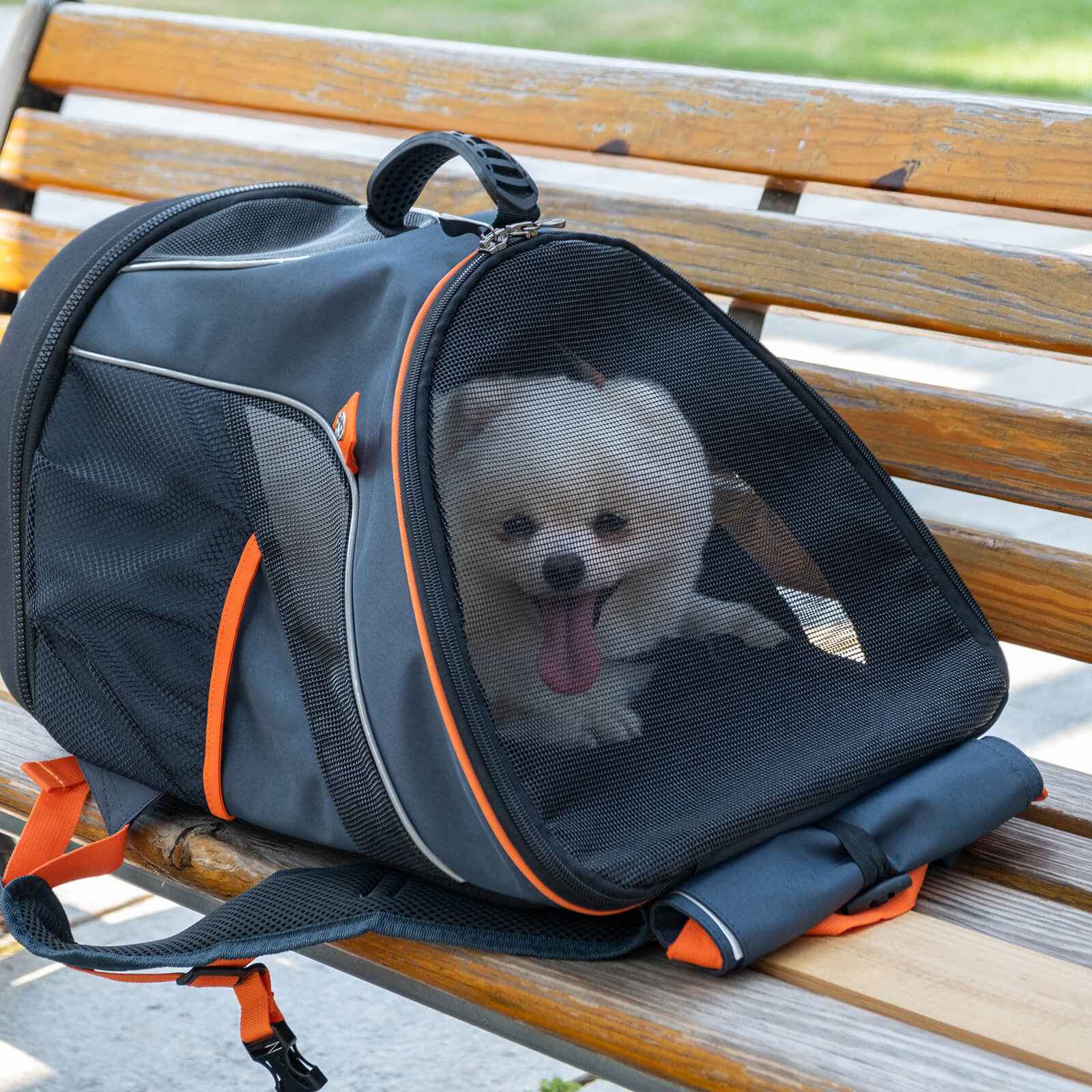 ibiyaya Ultralight Pro Pet Backpack Carrier, Front-Facing Cat-Dog Travel Bag