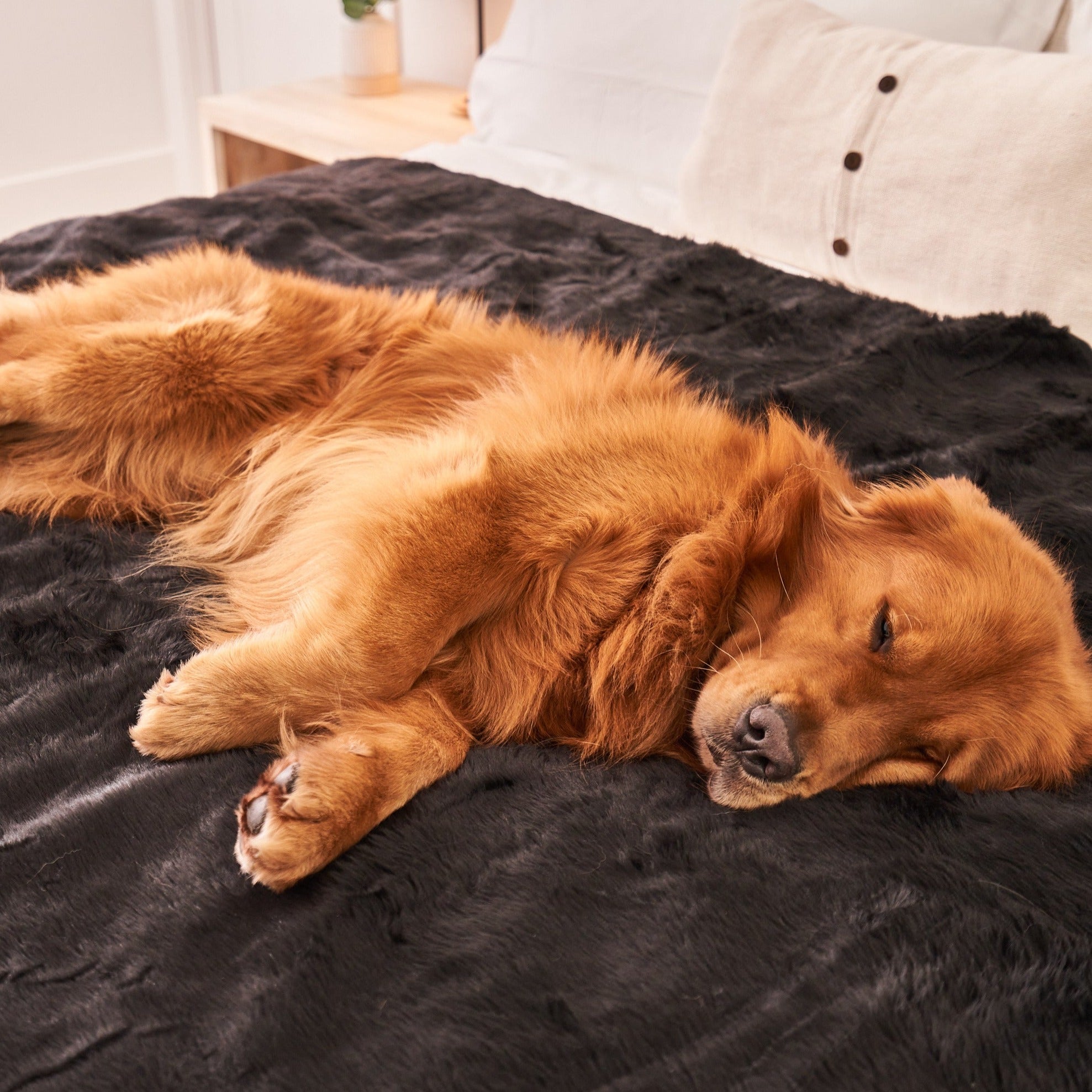 PupProtector Short Fur Waterproof Throw Blanket Midnight Black