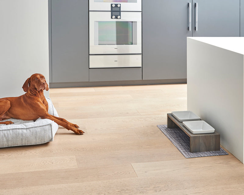 Bowsers Gourmet Pet Food Placemat - Easy-Care Floor Protection