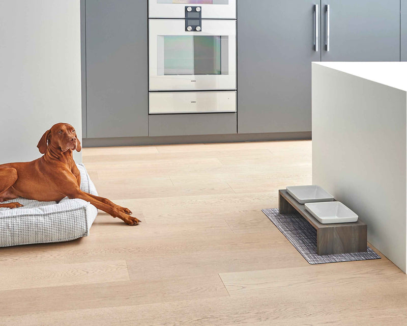 Bowsers Gourmet Pet Food Placemat – Easy-Care Floor Protection