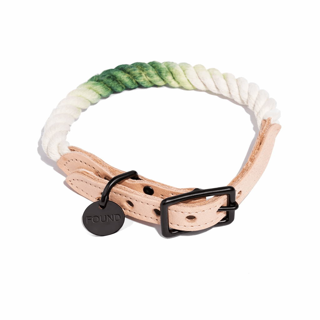 Fern Green Ombre Cotton Rope Cat & Dog Collar – Matte Black Hardware