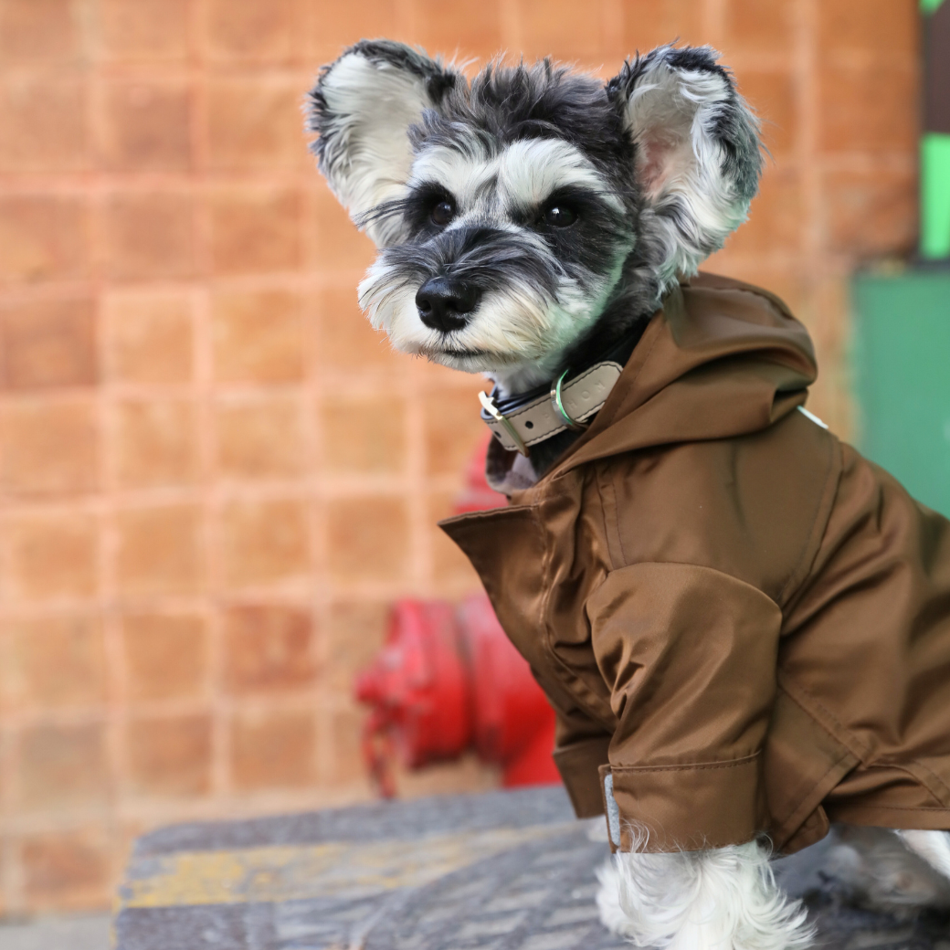 Tribeca Adjustable Velcro Raincoat-Choco