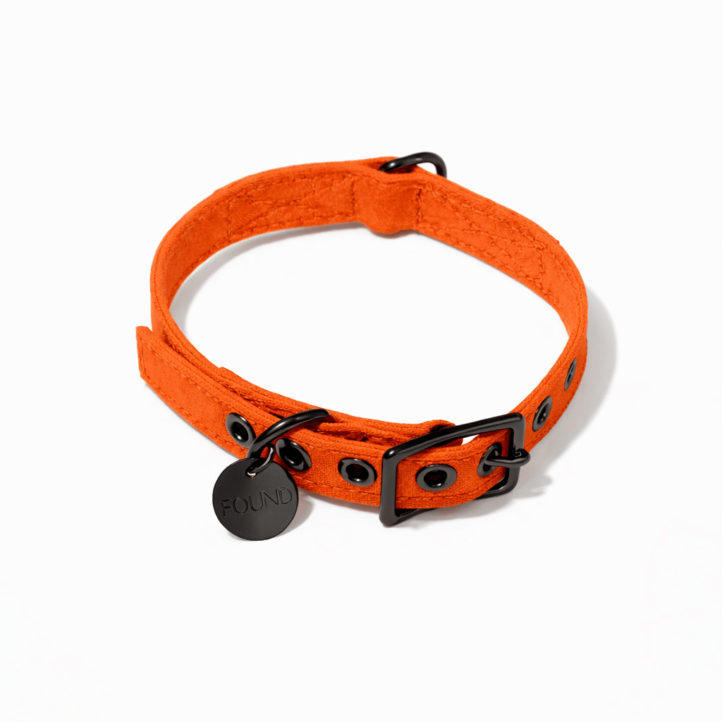 Fire Orange Waxed Cotton Canvas Cat & Dog Collar – Matte Black Hardware