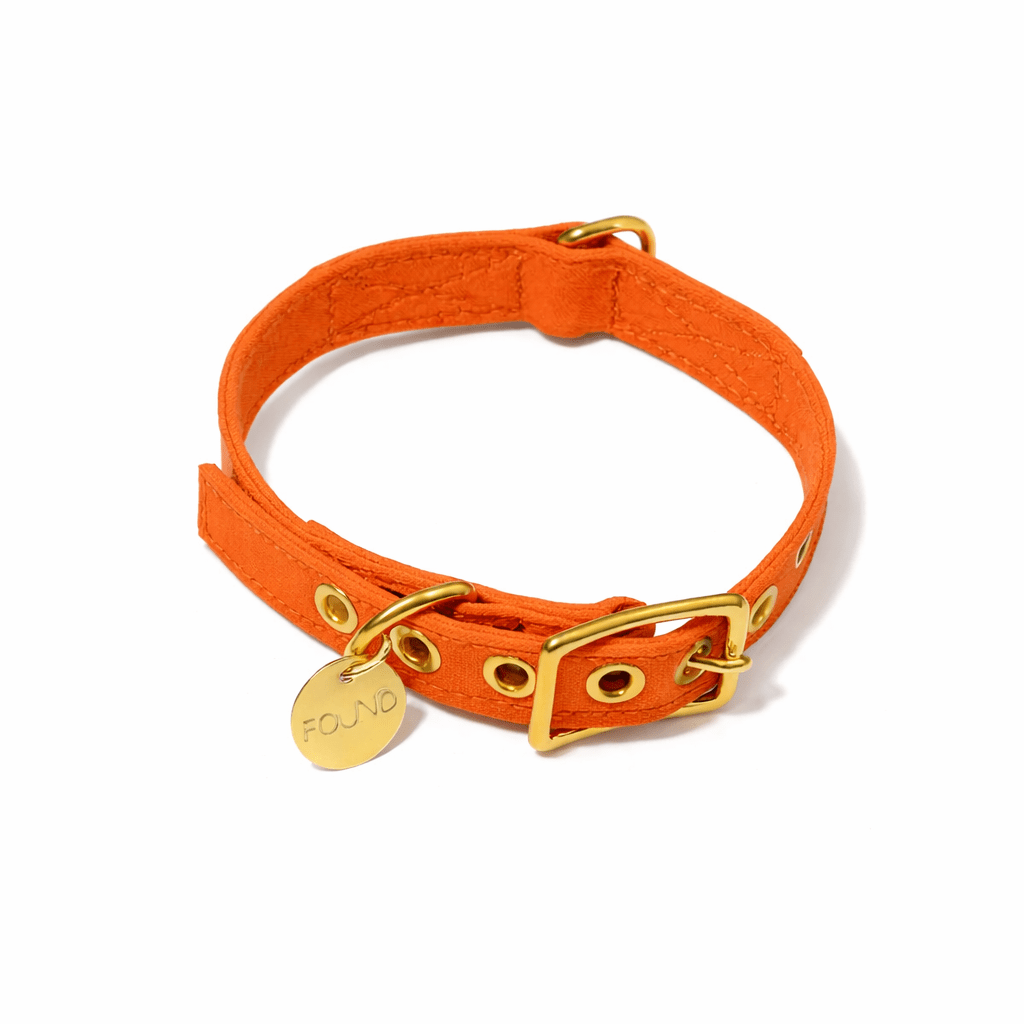 Orange Waxed Cotton Canvas Cat & Dog Collar