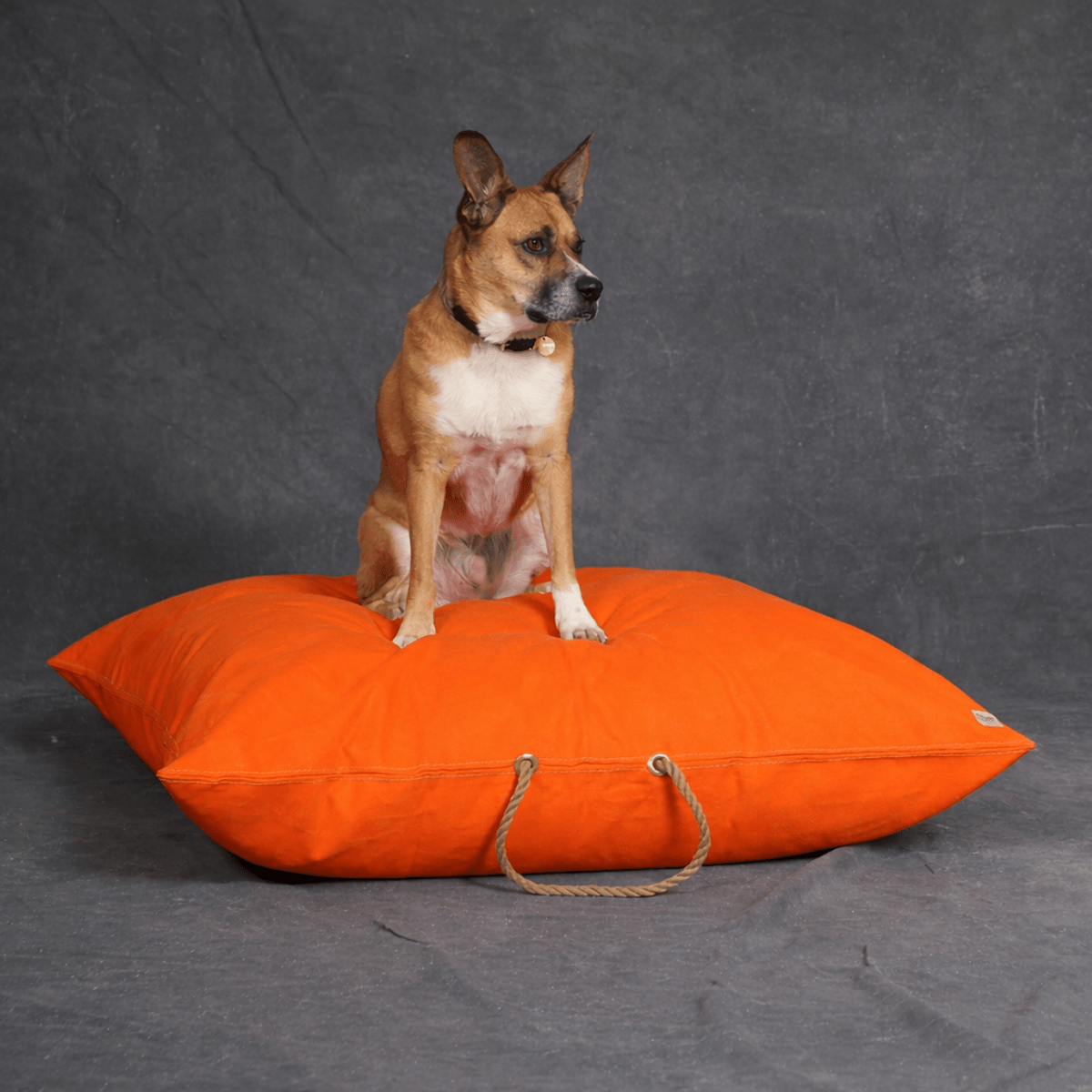 Fire Orange Waxed Cotton Canvas Dog Bed