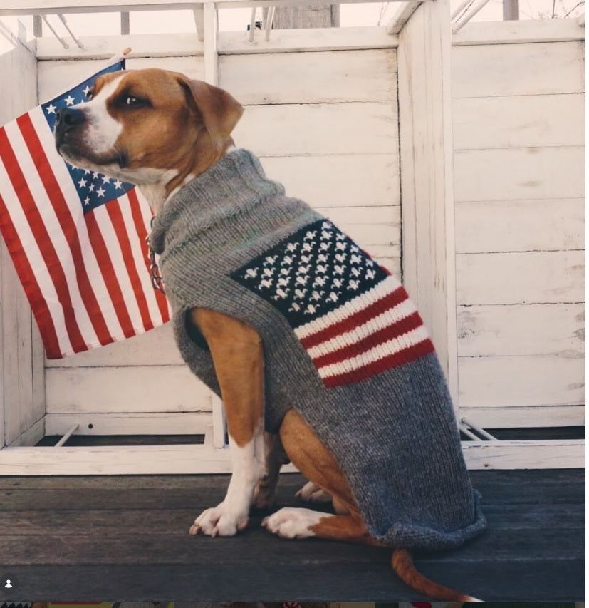 Chilly Dog American Flag Wool Dog Sweater