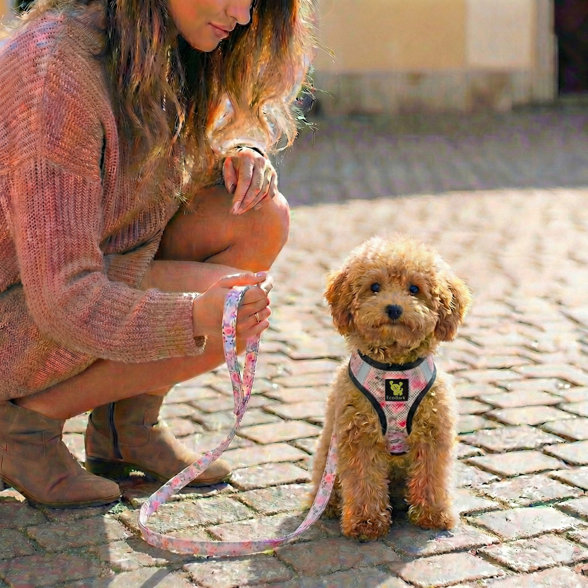 EcoBark Eco-Bright Dog Leashes