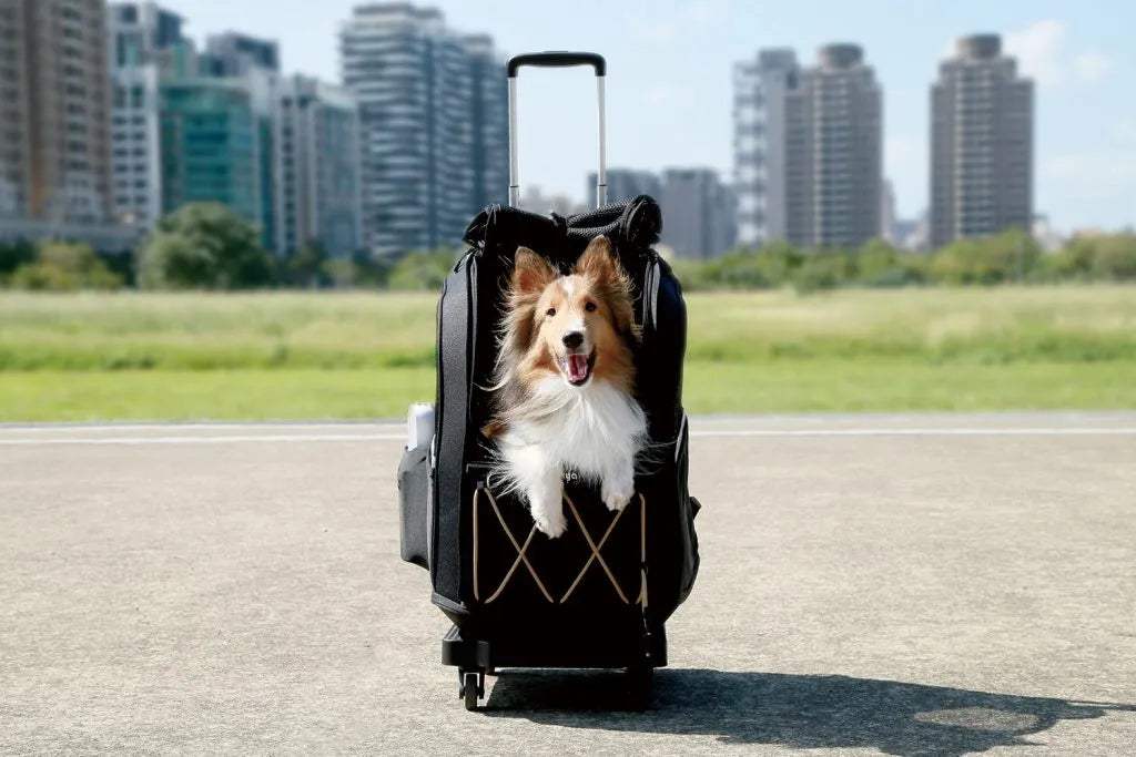 Champion Large Dog Carrier Backpack with Window