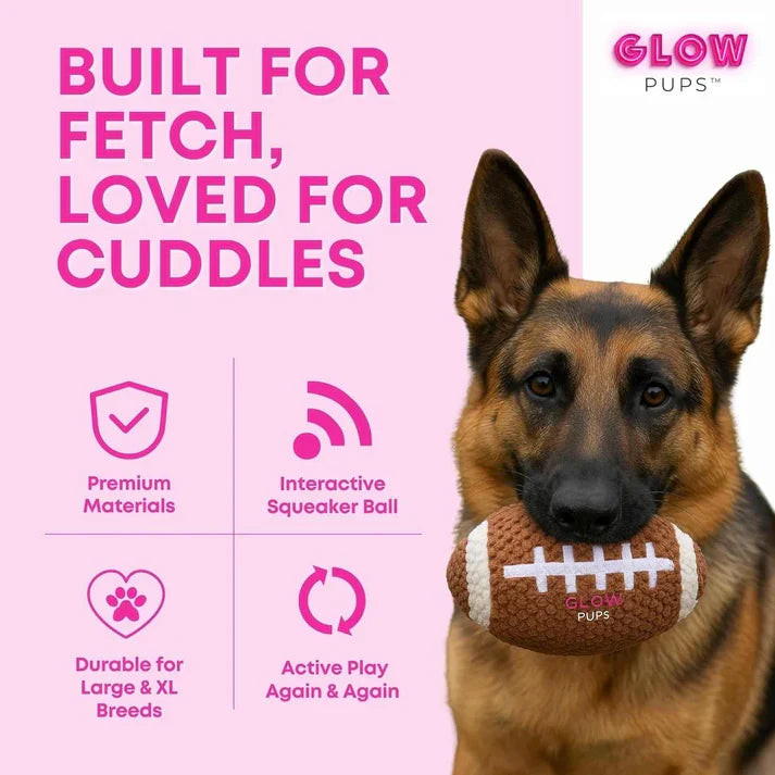 Glow Pups: Football Squeaky Plush Dog Toy