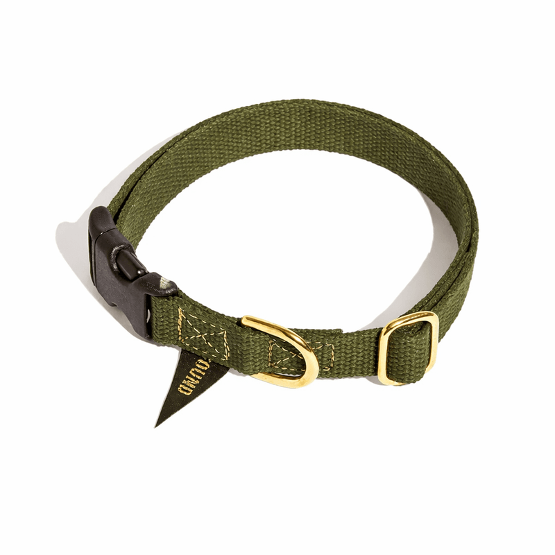 Found Classic Cotton Dog Collar | Olive
