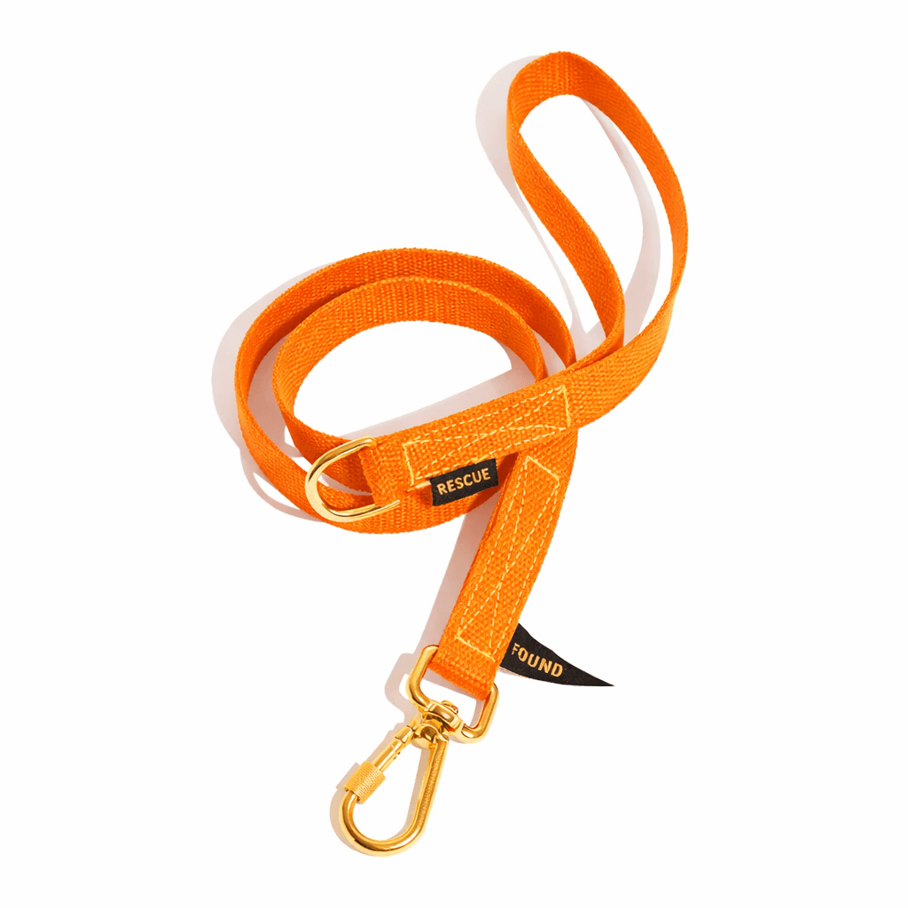 Found Classic Cotton Dog Leash | Orange