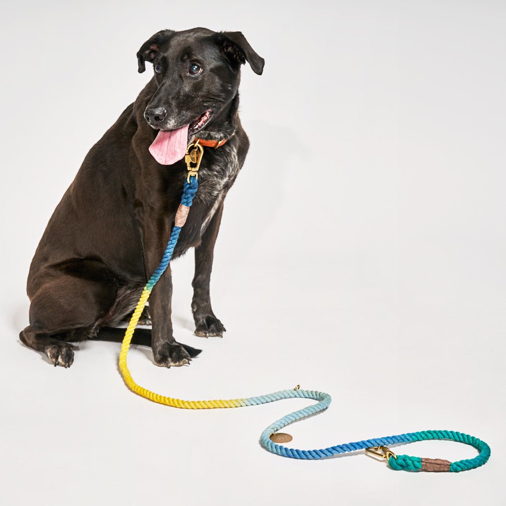 Azure Cotton Rope Dog Leash by Found My Animal, Adjustable
