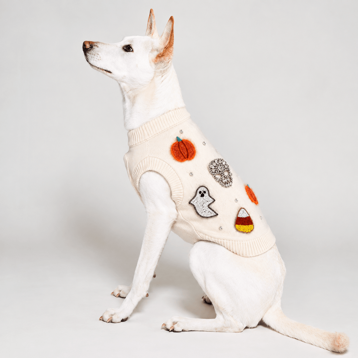 Found My Animal Bead Icon Ghost Halloween Dog Sweater