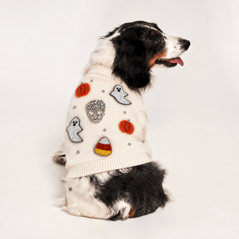 Found My Animal Bead Icon Ghost Halloween Dog Sweater