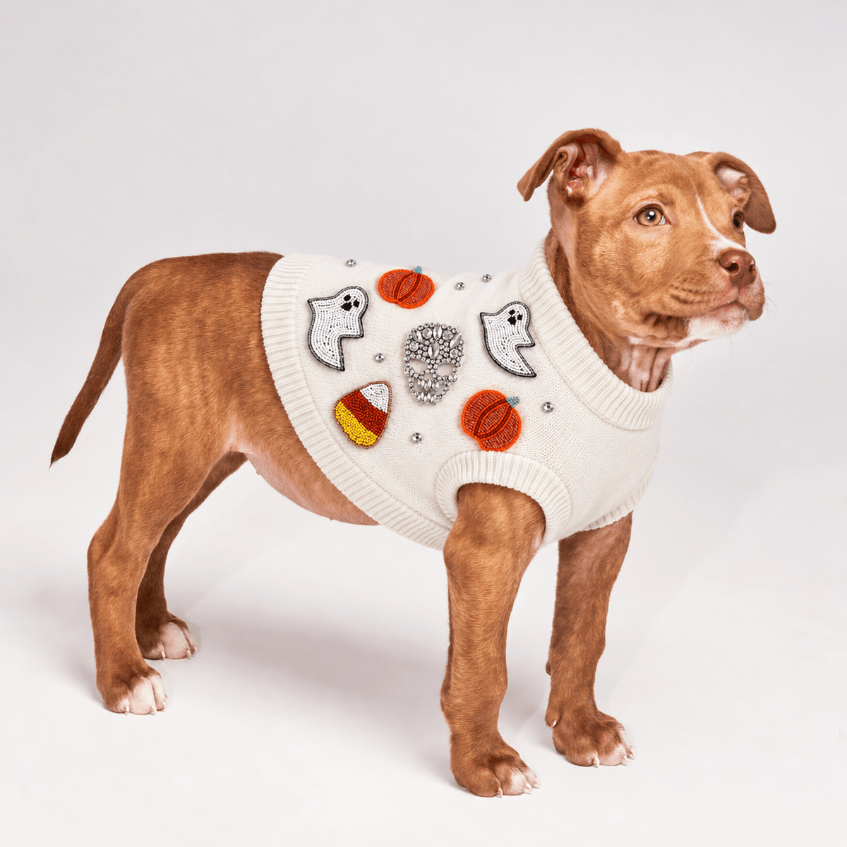 Found My Animal Bead Icon Ghost Halloween Dog Sweater
