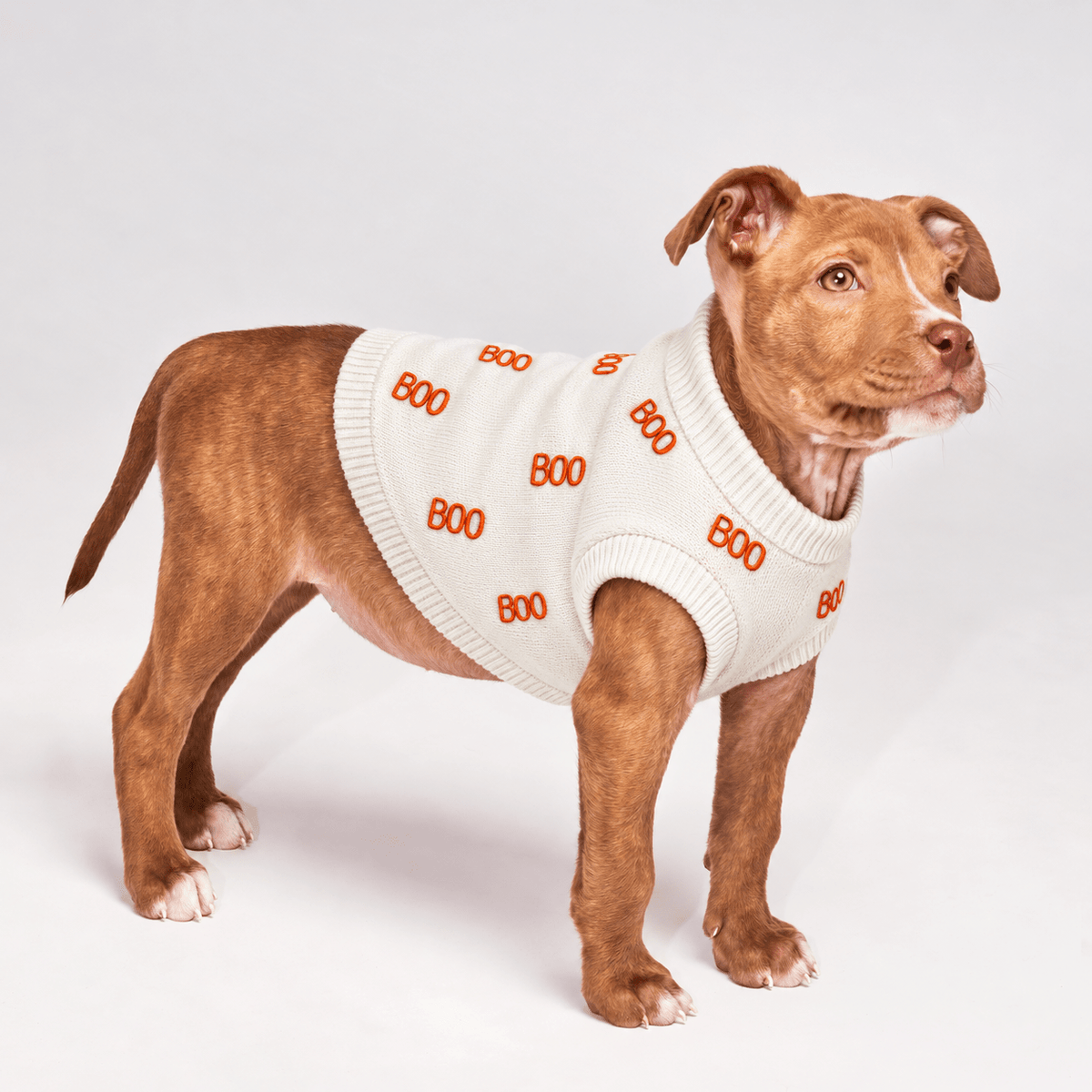 Found My Animal Boo Halloween Dog Sweater
