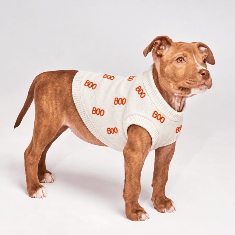 Found My Animal Boo Halloween Dog Sweater