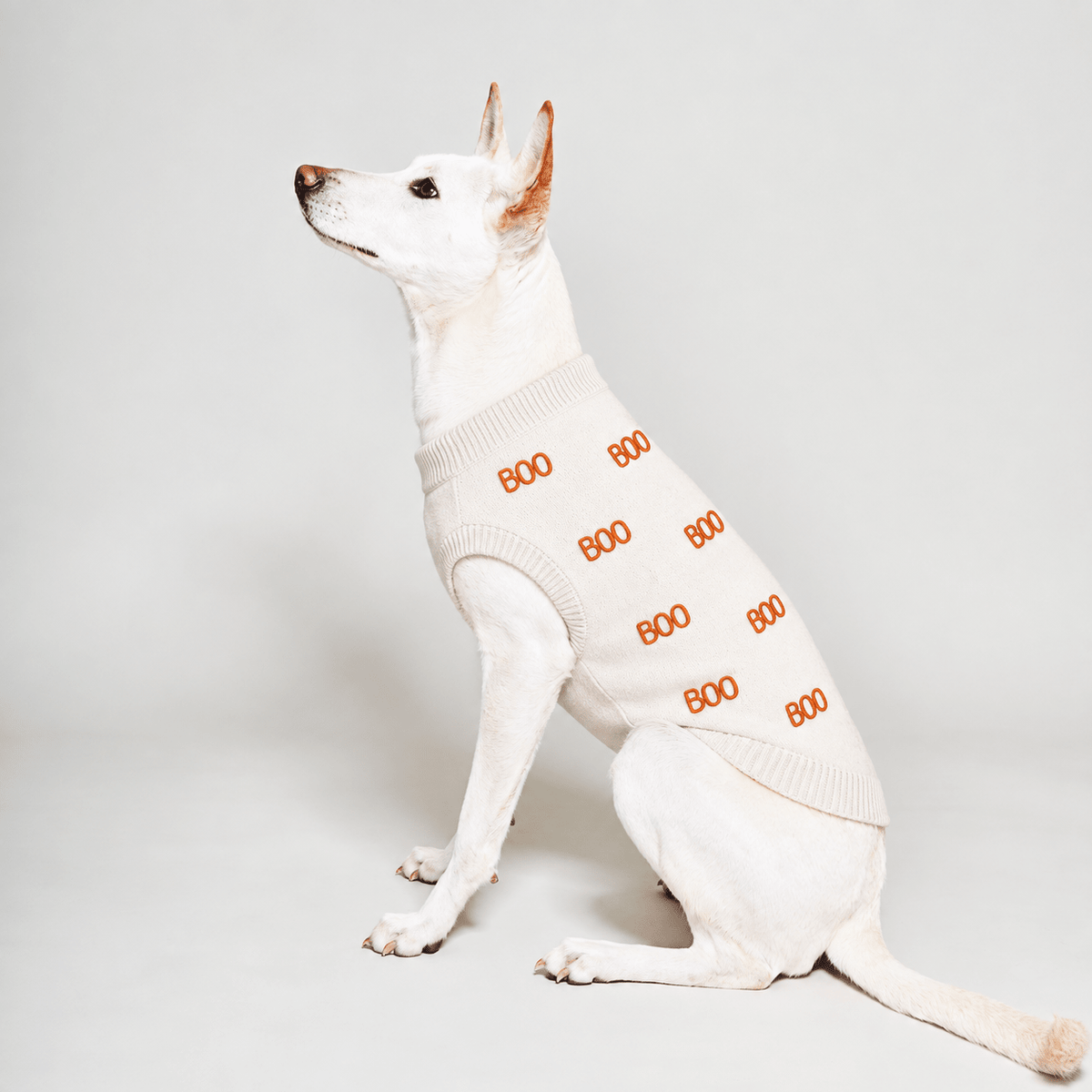 Found My Animal Boo Halloween Dog Sweater