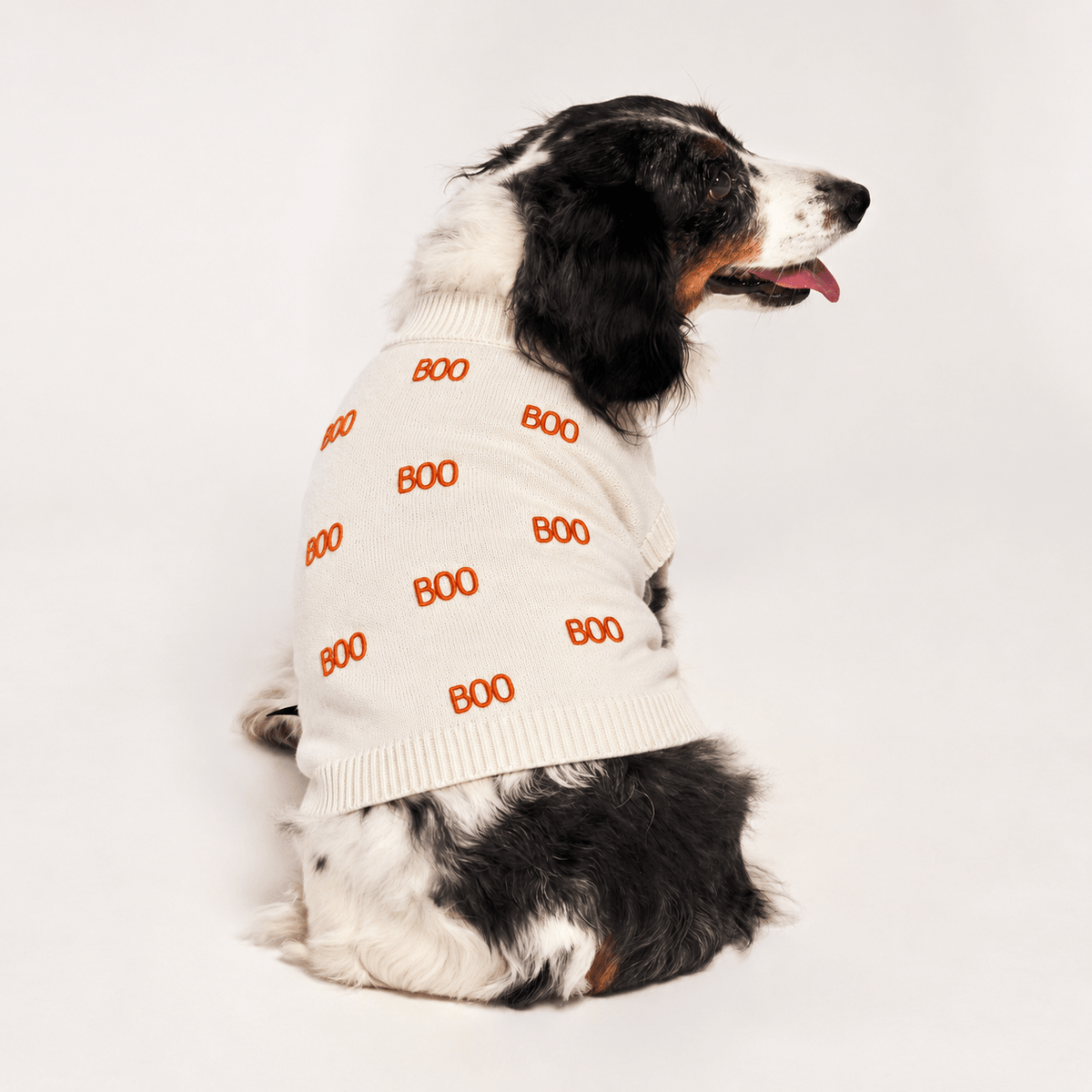 Found My Animal Boo Halloween Dog Sweater