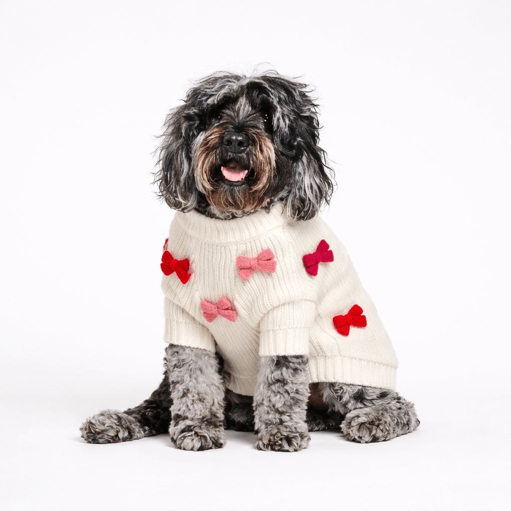 Dog Sweater - Bow - Red & Pink | Found My Animal