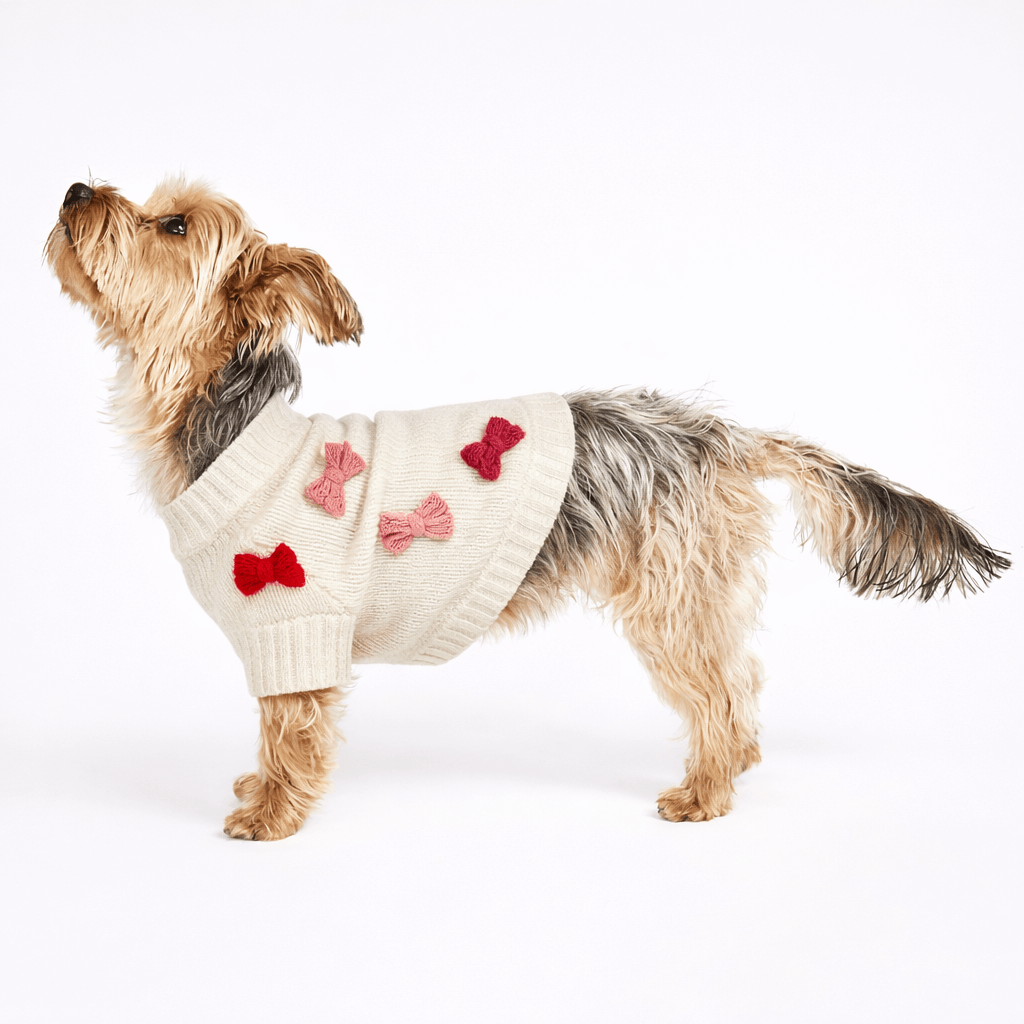 Dog Sweater - Bow - Red & Pink | Found My Animal