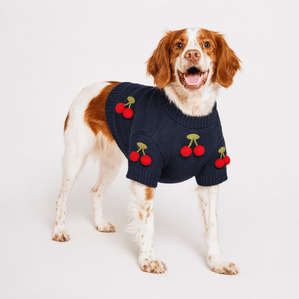 Dog Sweater - Cherries 3D Icon | Found My Animal