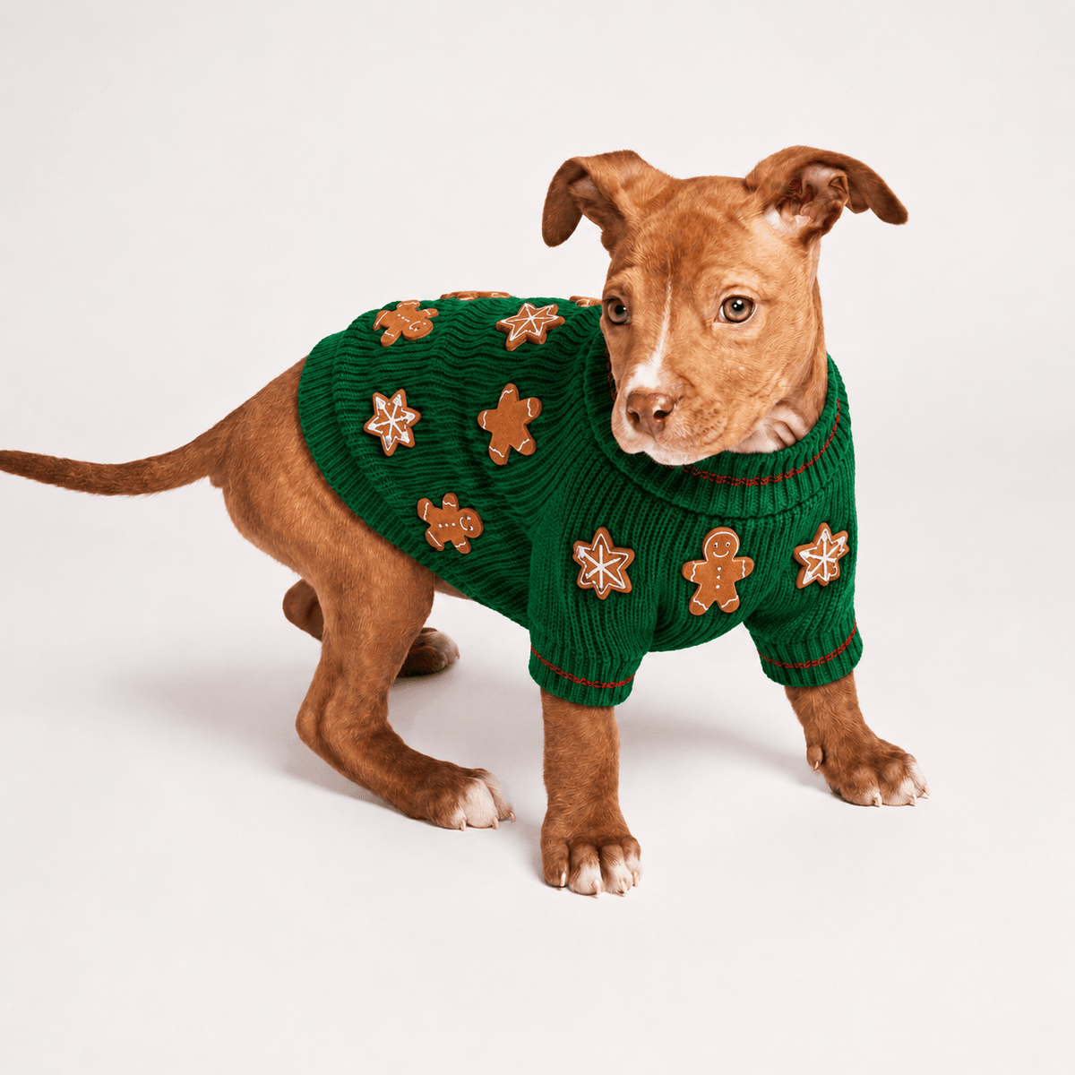 Found My Animal Gingerbread Cookie Dog Sweater