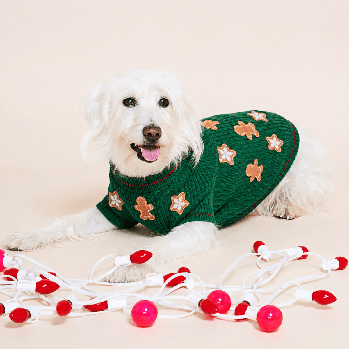 Found My Animal Gingerbread Cookie Dog Sweater