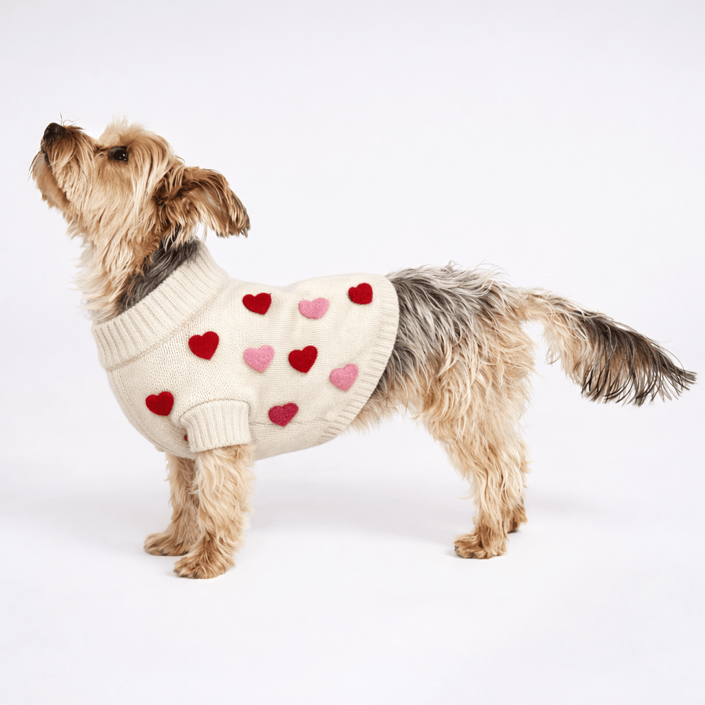 Dog Sweater - Heart 3D Icon | Found My Animal