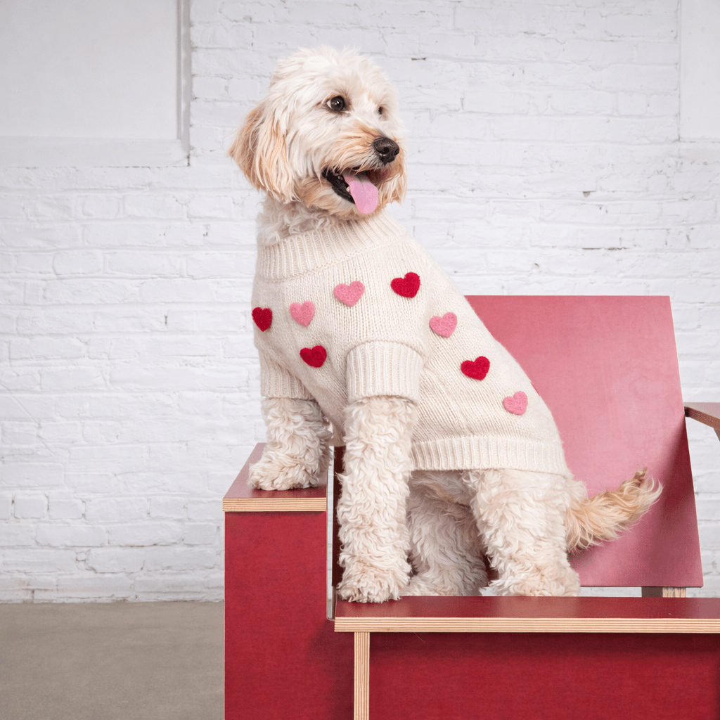 Dog Sweater - Heart 3D Icon | Found My Animal