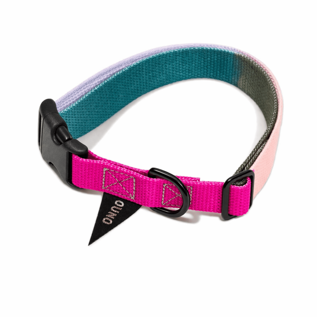 Found My Animal Jolie Flat Web Dog Collar – Matte Black Hardware