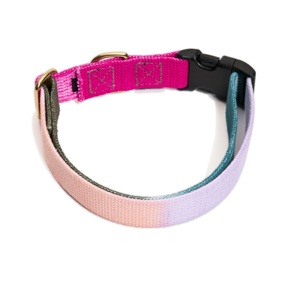 Found My Animal Jolie Flat Web Dog Collar