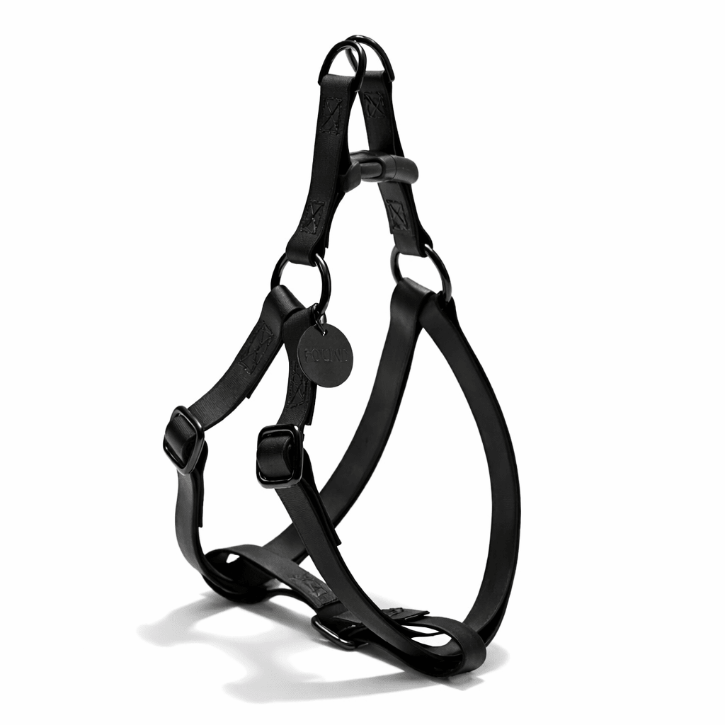 Found My Animal Leather Alternative All-Weather Cotton Dog & Cat Harness – Matte Black Hardware, Adjustable, Durable &