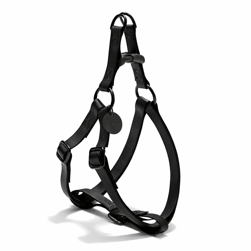 Found My Animal Leather Alternative All-Weather Cotton Dog & Cat Harness – Matte Black Hardware, Adjustable, Durable &