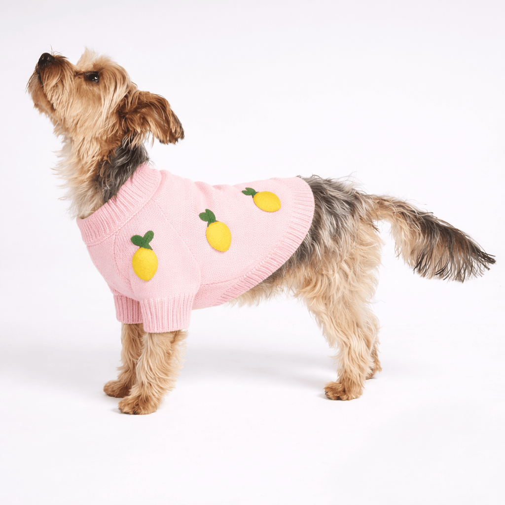 Dog Sweater - Lemon 3D Icon | Found My Animal