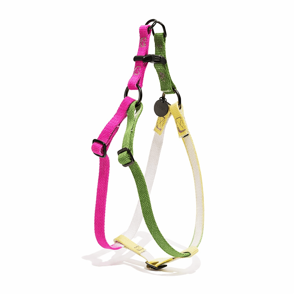 Found My Animal Radish Cotton Dog & Cat Harness – Matte Black Hardware, Adjustable, Durable & Stylish