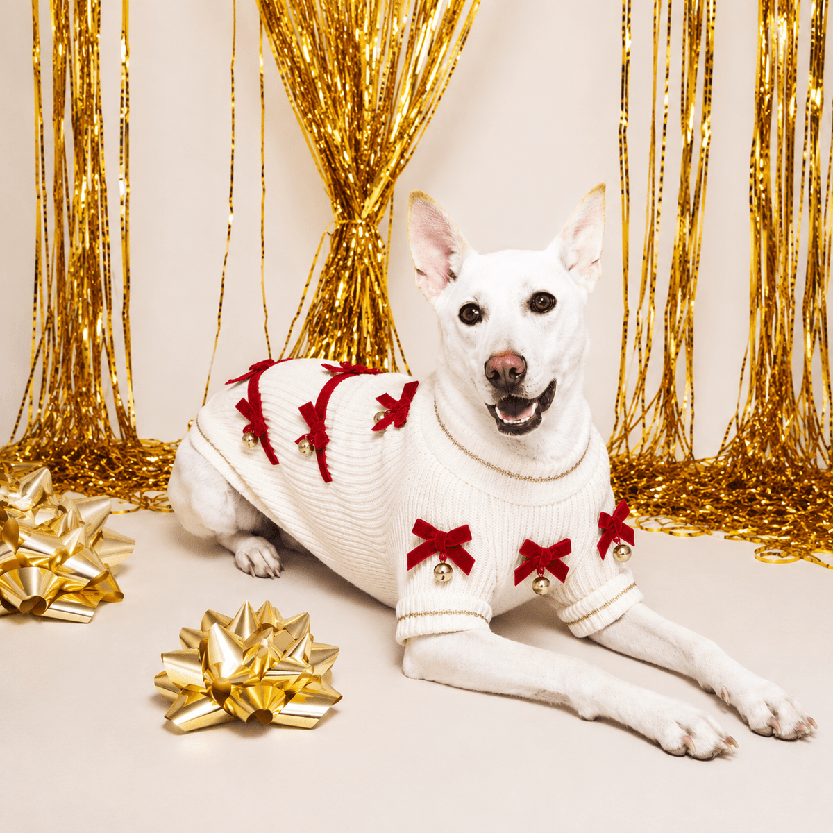 Found My Animal Red Ribbon Dog Sweater