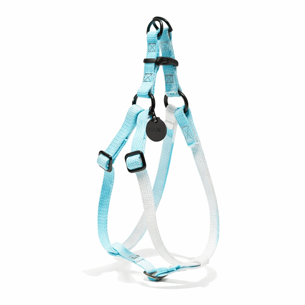 Found My Animal Robin’s Egg Cotton Dog & Cat Harness – Matte Black Hardware, Adjustable, Durable & Stylish