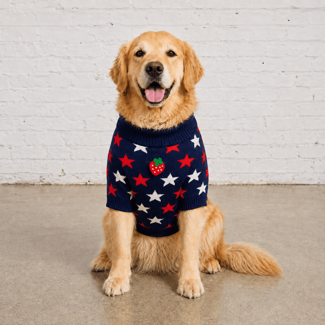 Found My Animal Star Sweater