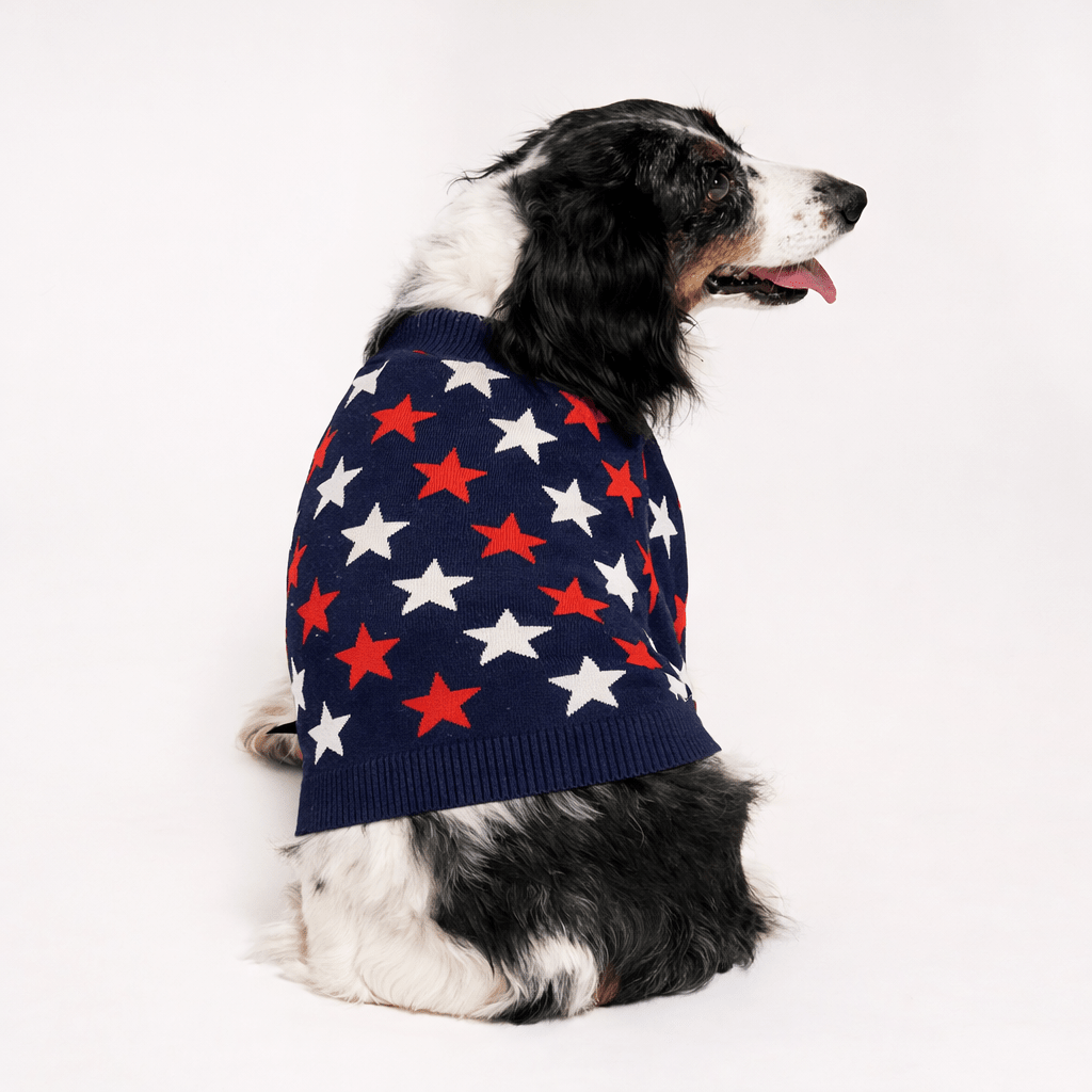 Found My Animal Star Sweater