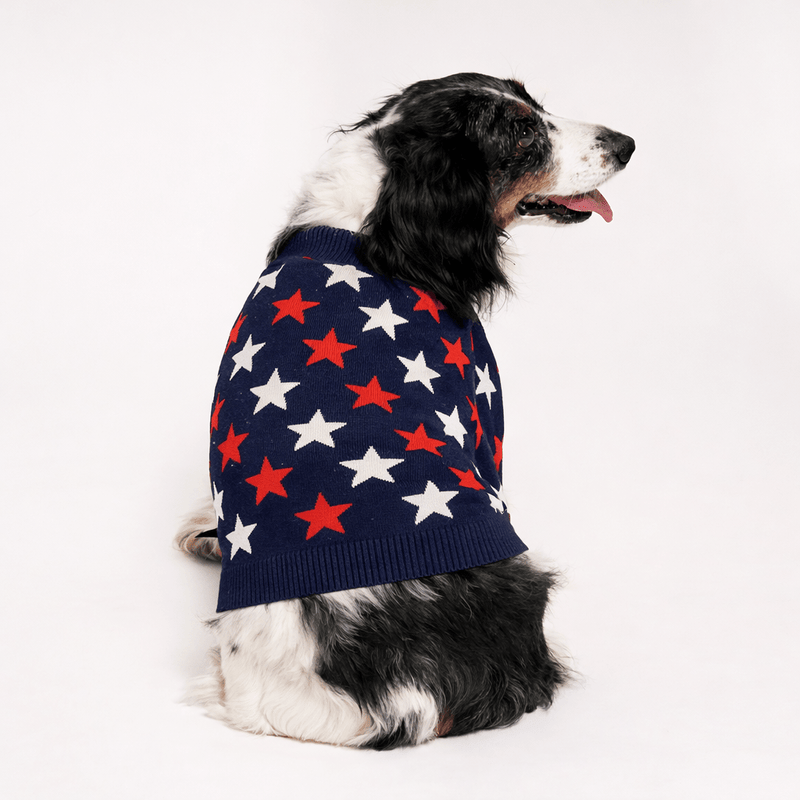 Found My Animal Star Sweater